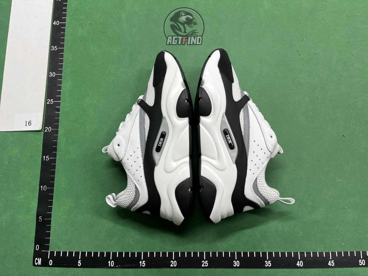 Dior sneakers b22 b30